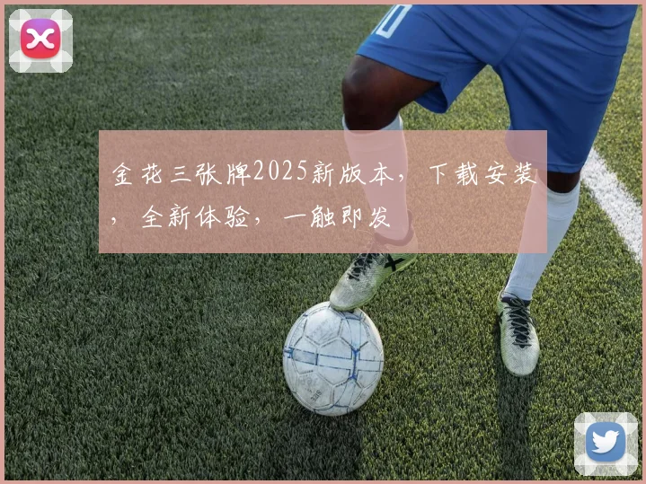 金花三张牌2025新版本，下载安装，全新体验，一触即发