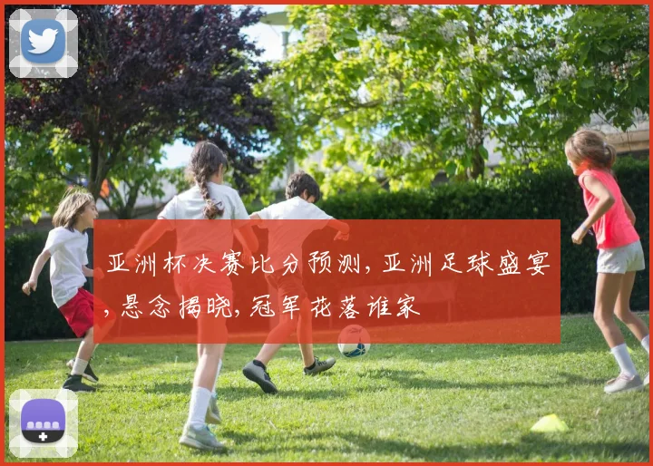 亚洲杯决赛比分预测,亚洲足球盛宴,悬念揭晓,冠军花落谁家