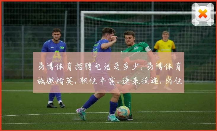 易博体育招聘电话是多少,易博体育诚邀精英,职位丰富,速来投递,岗位等你