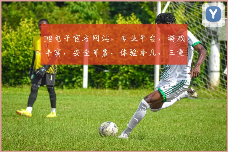 pg电子官方网站，专业平台，游戏丰富，安全可靠，体验非凡，三重保障，必看攻略，不容错过